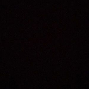 Meet your Posher, Kayden